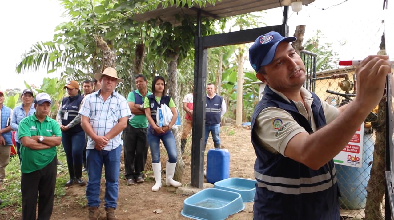 Gobierno de Daniel Noboa intensifica acciones para proteger la producción bananera y platanera del país, mediante la capacitación de más de 4.295 productores