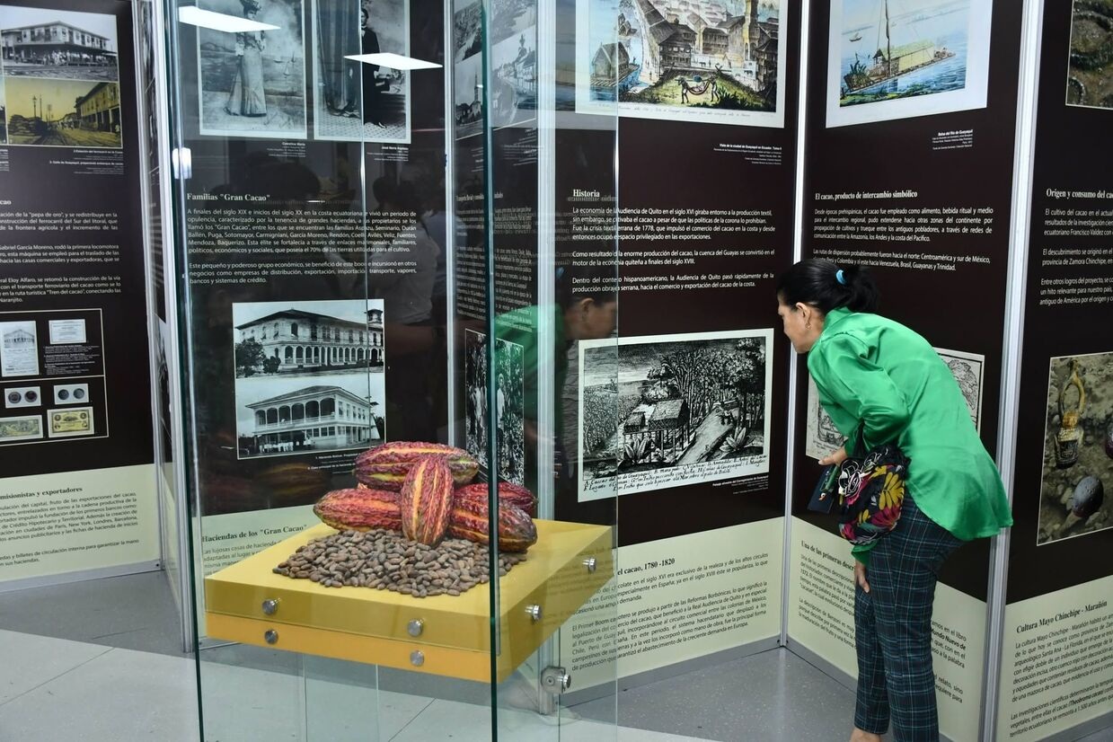GUAYAQUIL REUNIRÁ AL SECTOR CACAOTERO MUNDIAL PARA DEBATIR CALIDAD, CIENCIA Y MERCADO